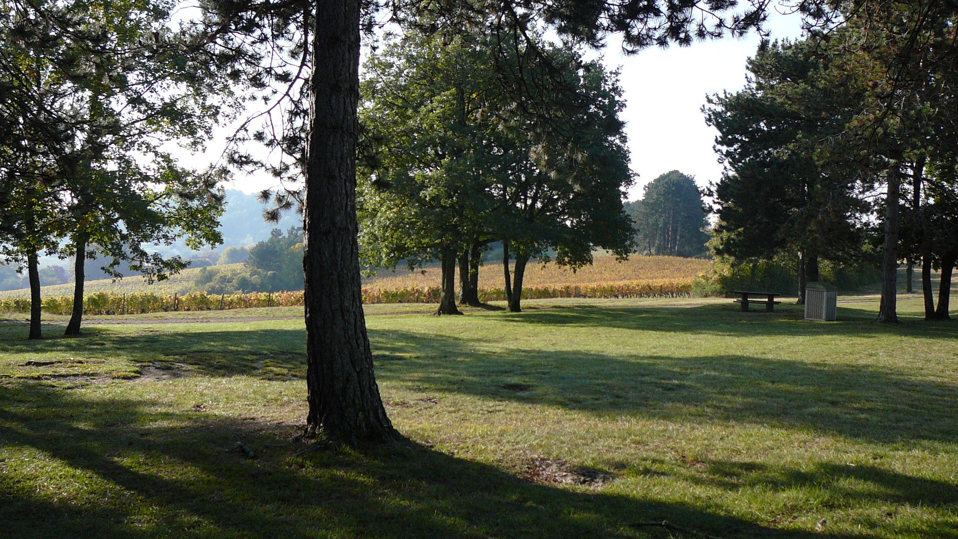 Lieudit Pâquier des Chaumes à Villers-la-Faye