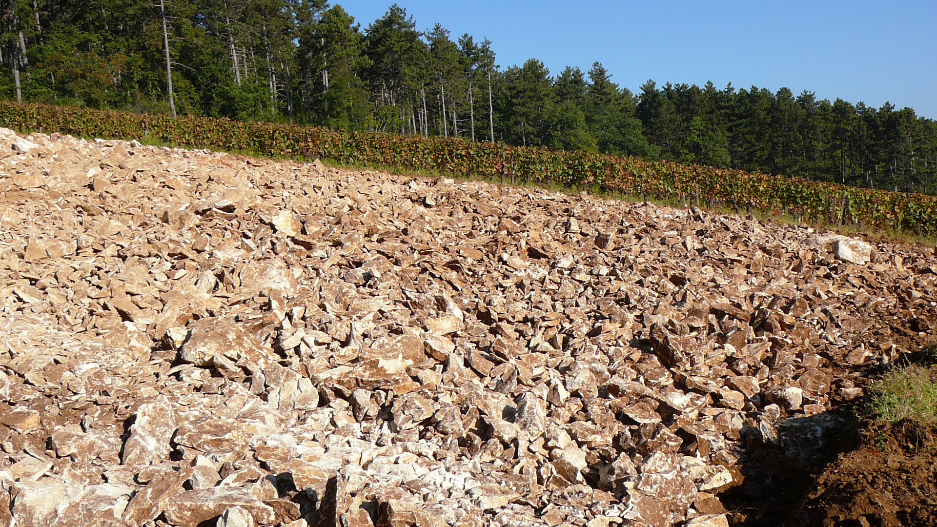 Travail du sol pour une future vigne