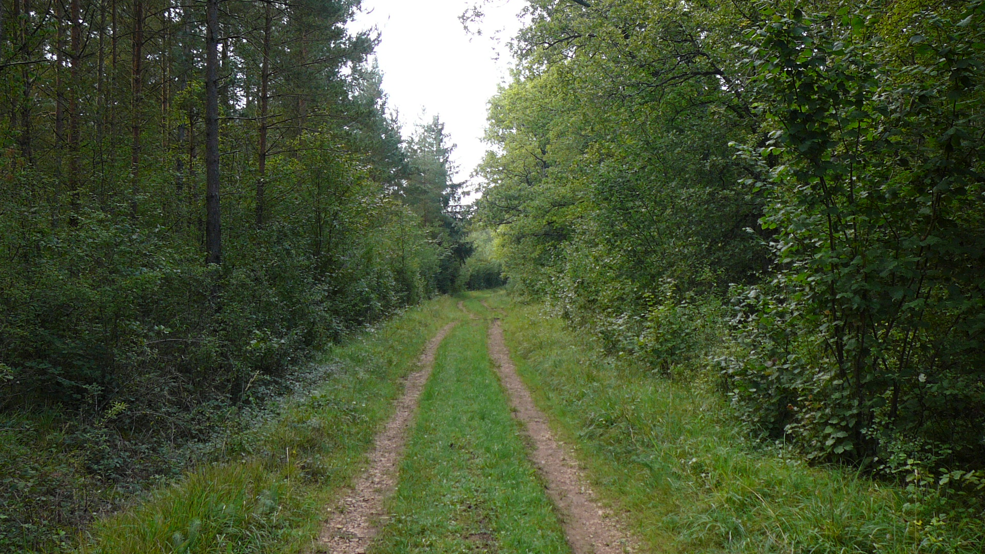 Lieudit Les Brousailles à Buncey