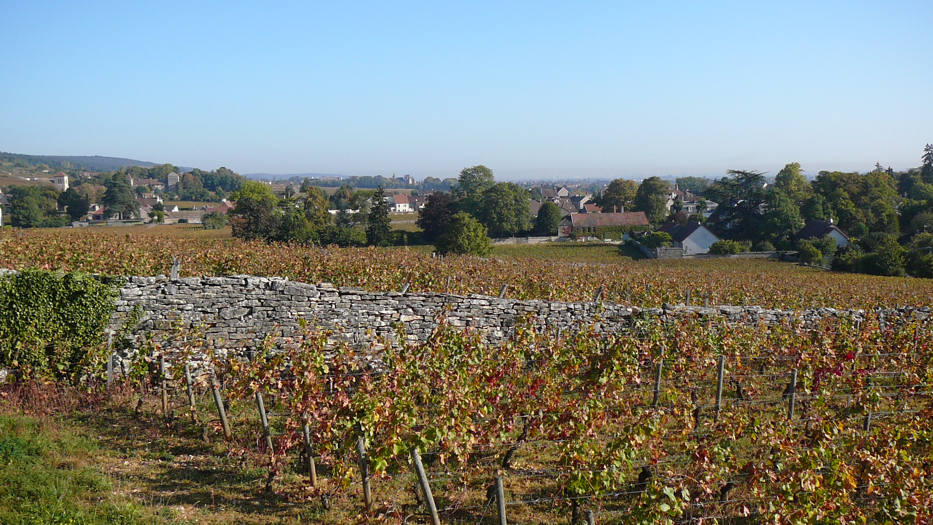 Lieudit Craipillon à Gevrey-chambertin