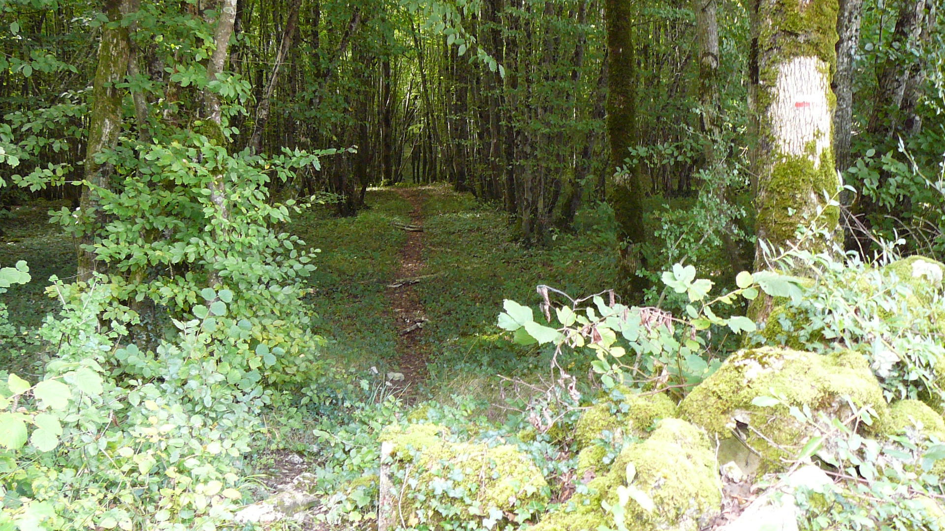 Près du lieudit La Combe à Nod-sur-Seine