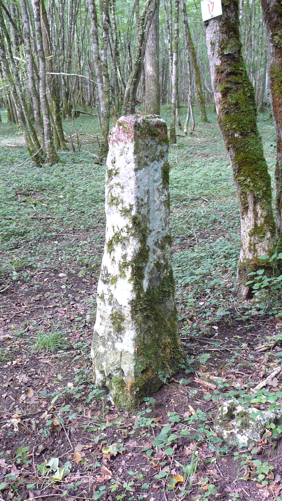 Borne de limite territoriale à Nod-sur-Seine