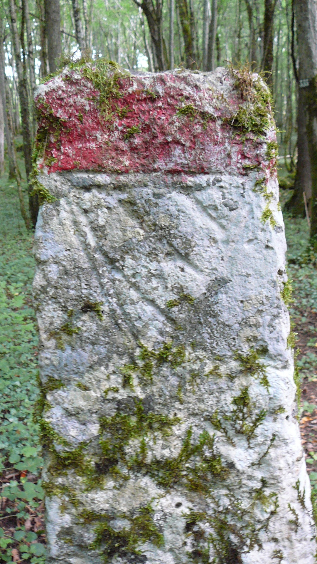 Marque ségneuriale sur une face de la borne de limite territoriale