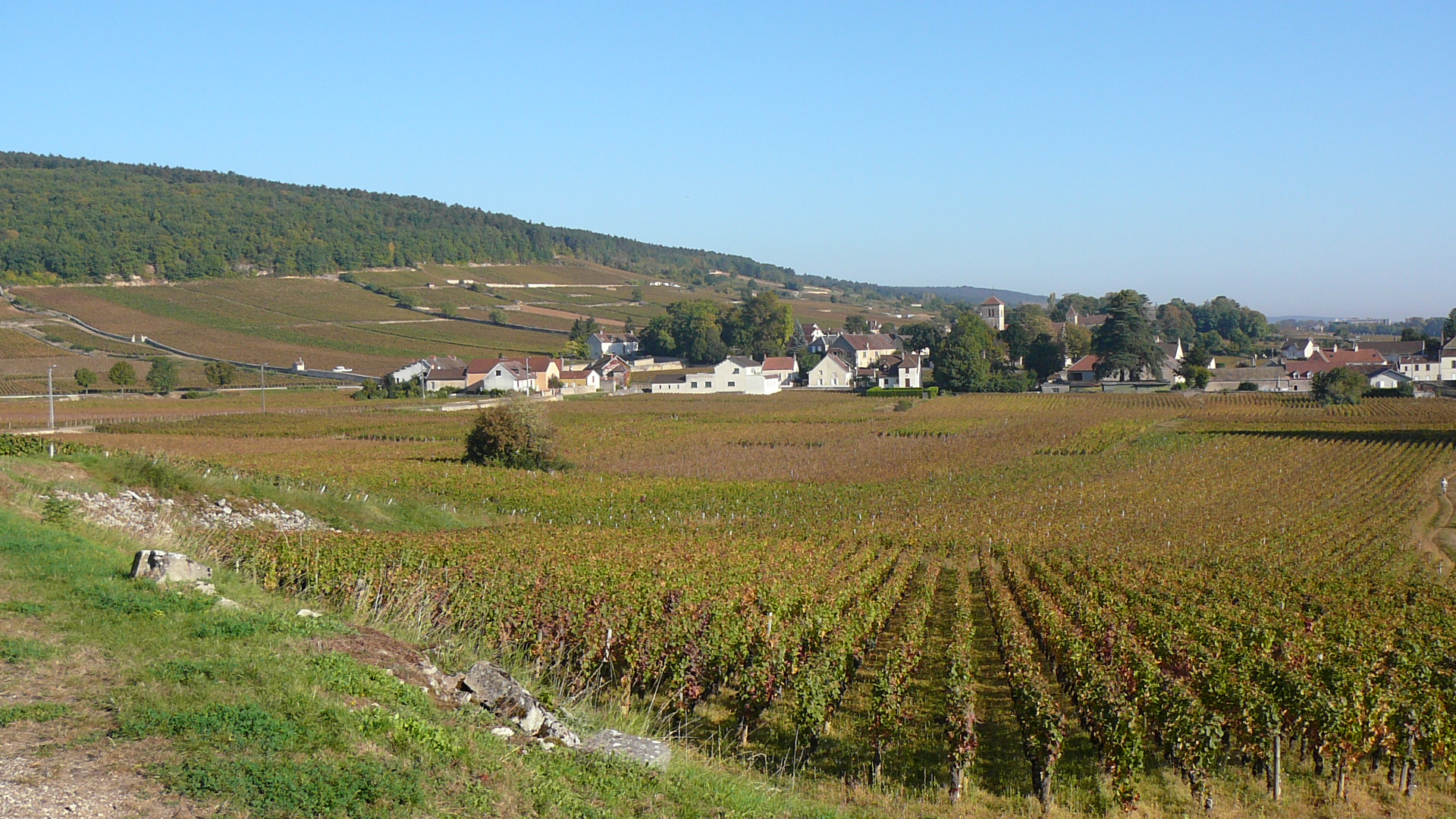 La Côte à Gevrey-Chambertin