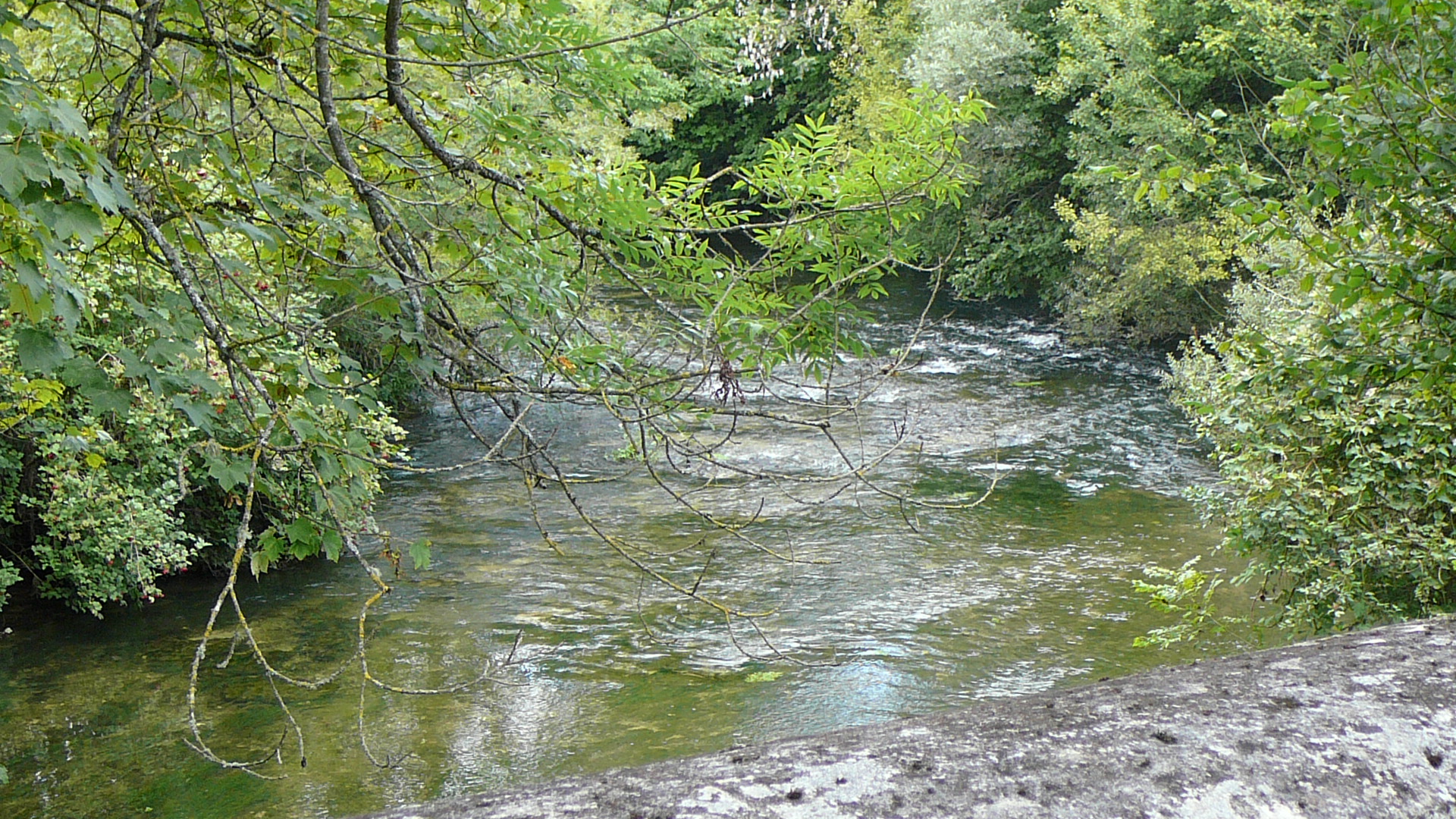 La Seine vers l'aval depuis la D 101 près de Vaurois