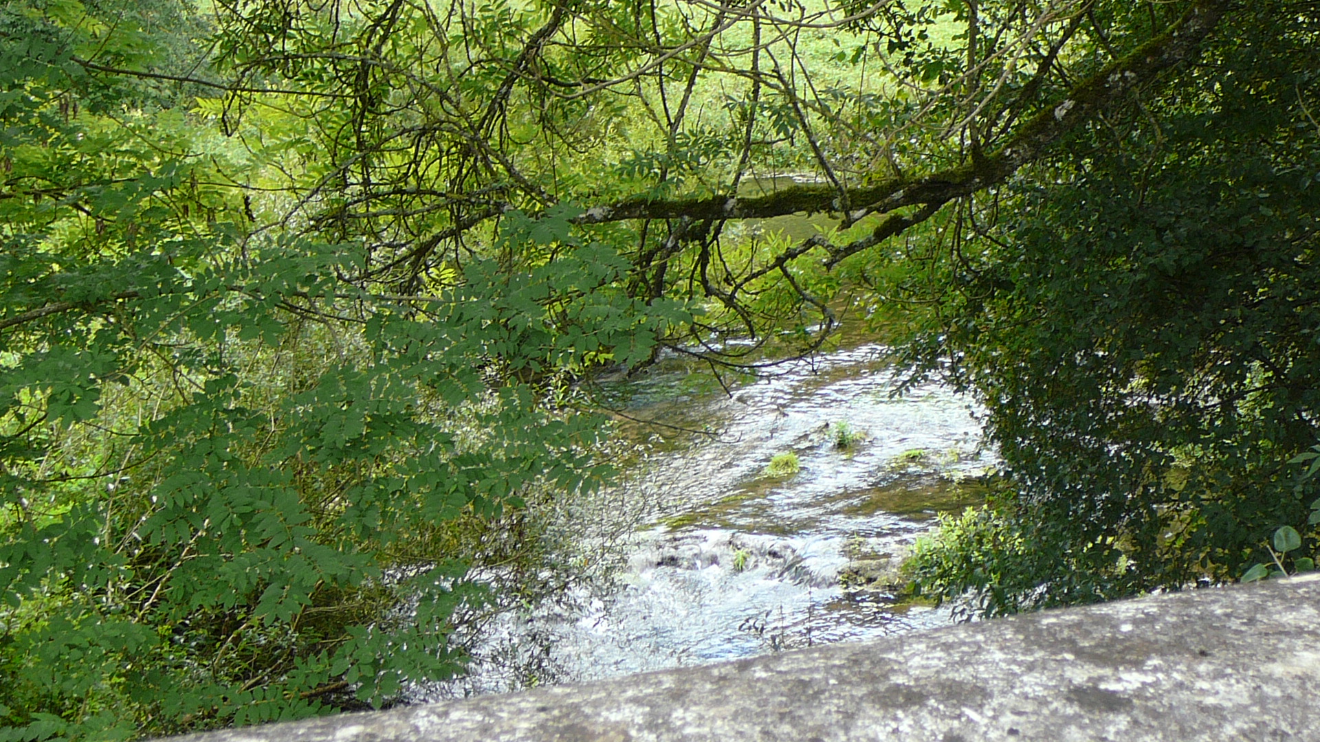 Le ruisseau Brévon depuis la D 101 près de Vaurois