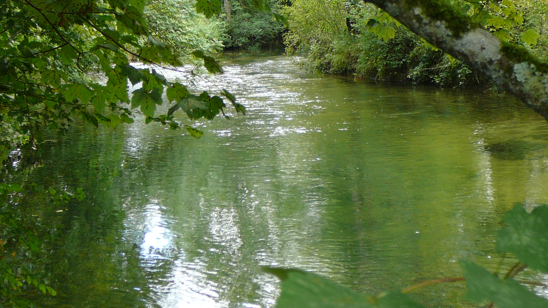 La Seine vers l'amont près de Vaurois