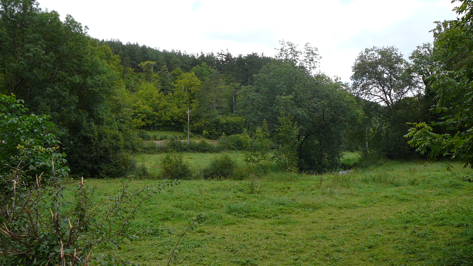 Le val du ruisseau Brévon depuis la D 101 près de Vaurois