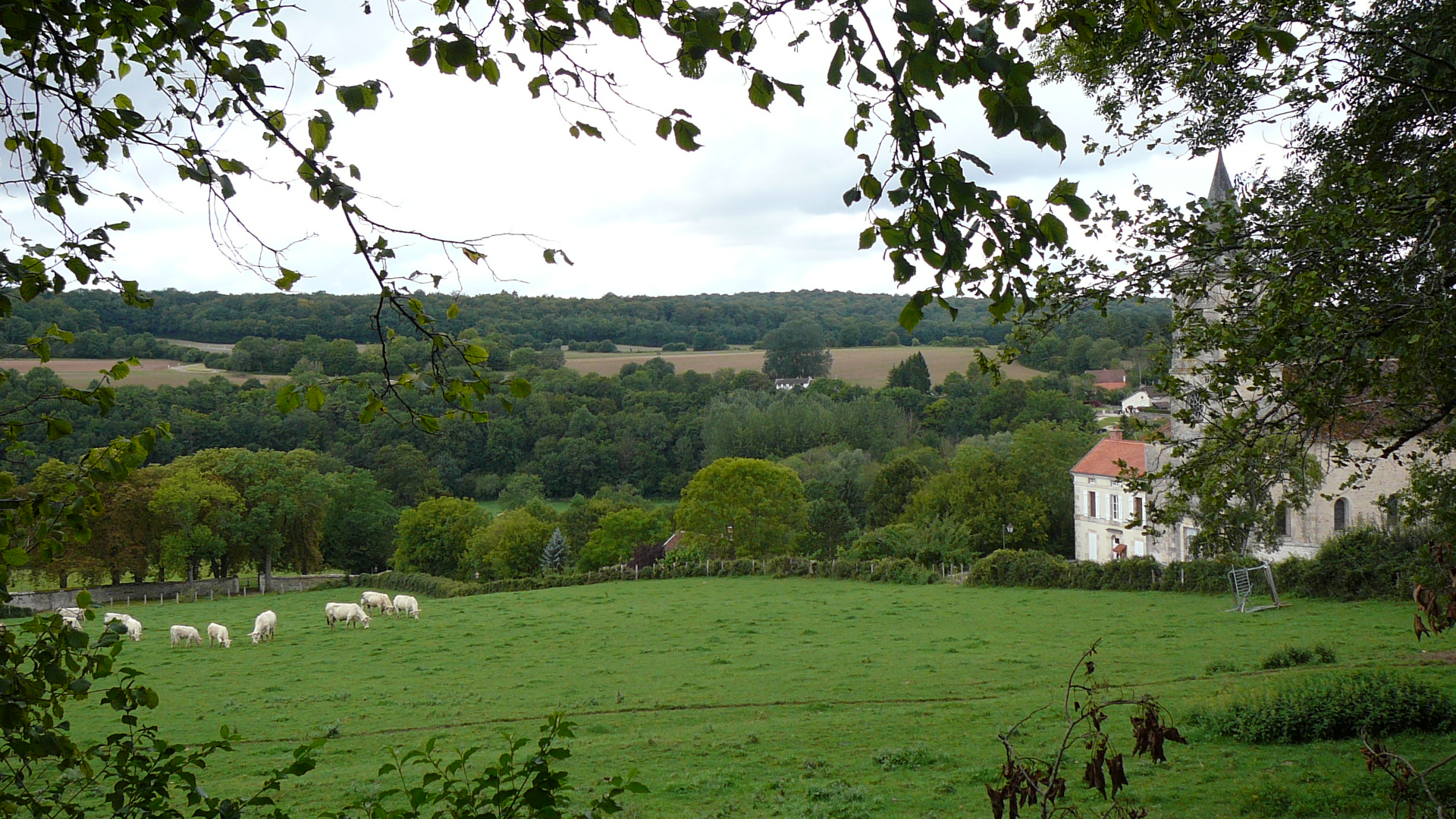 Paysage bucolique de Brémur