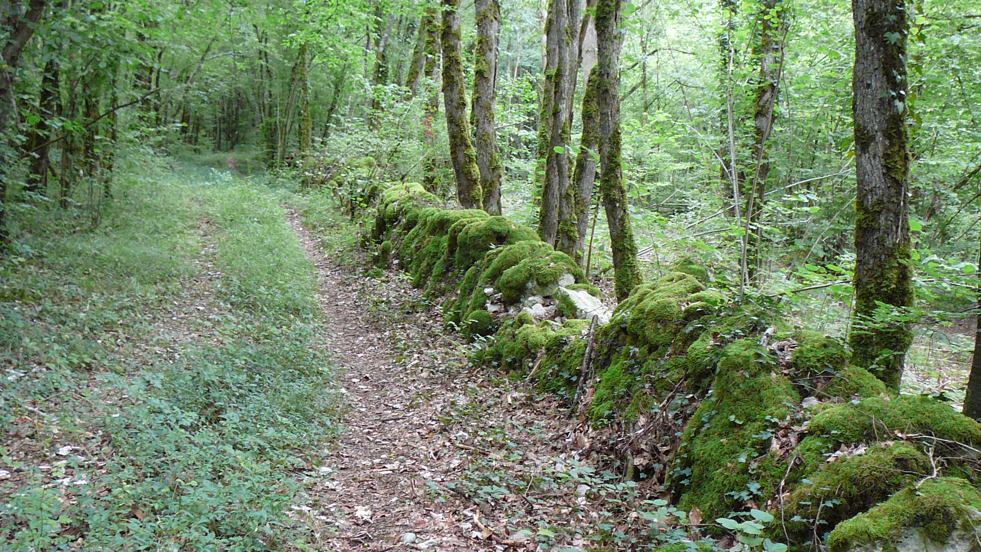 Près du lieudit la Combe Bernard