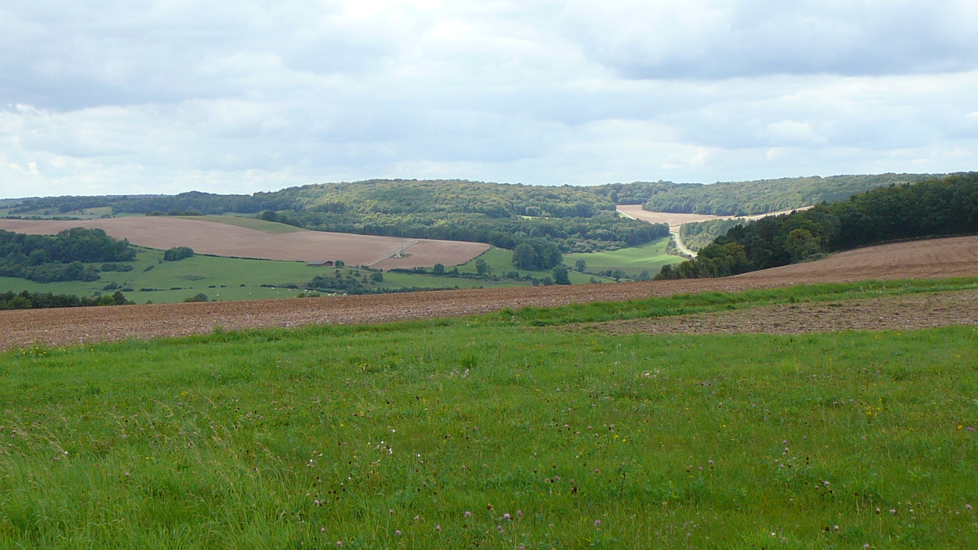 Au loin, le bois de la Roche Madame et le bois de la Bousière