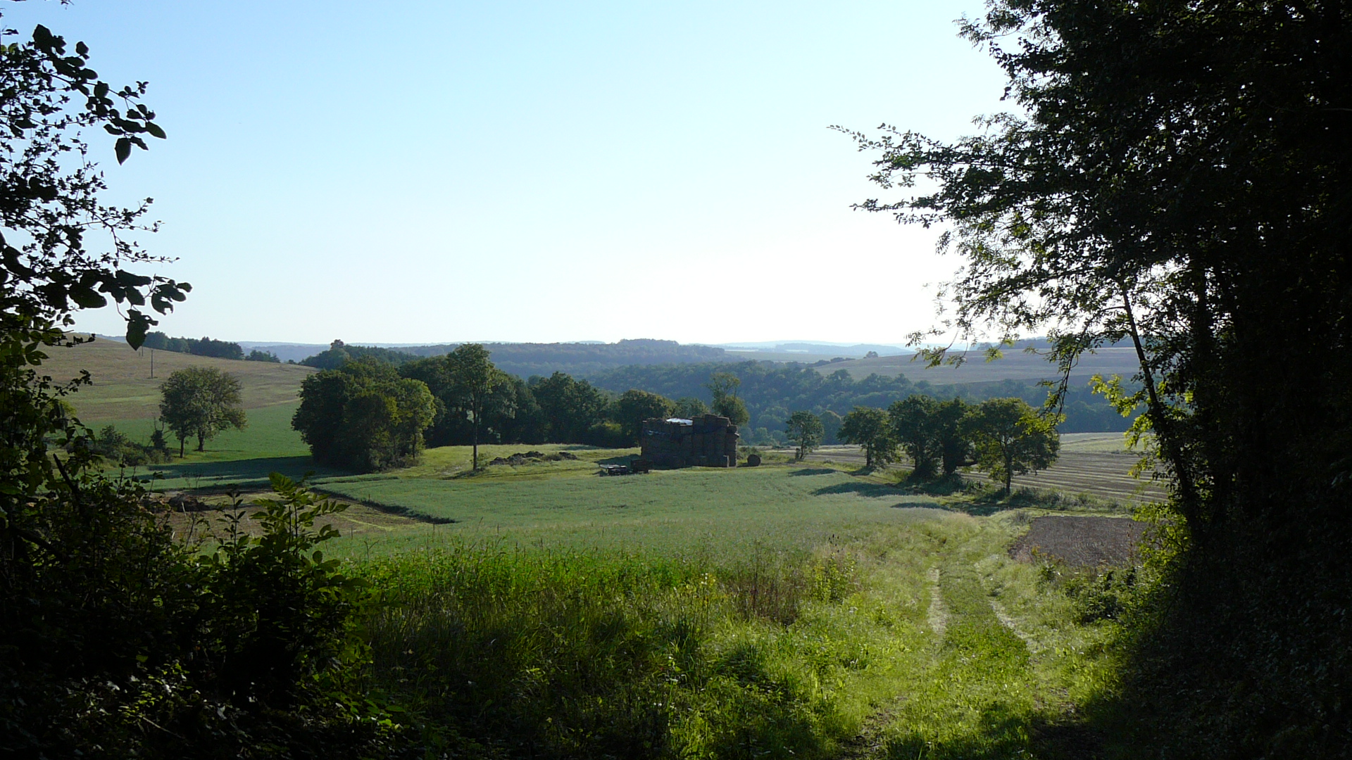 En sortant du bois