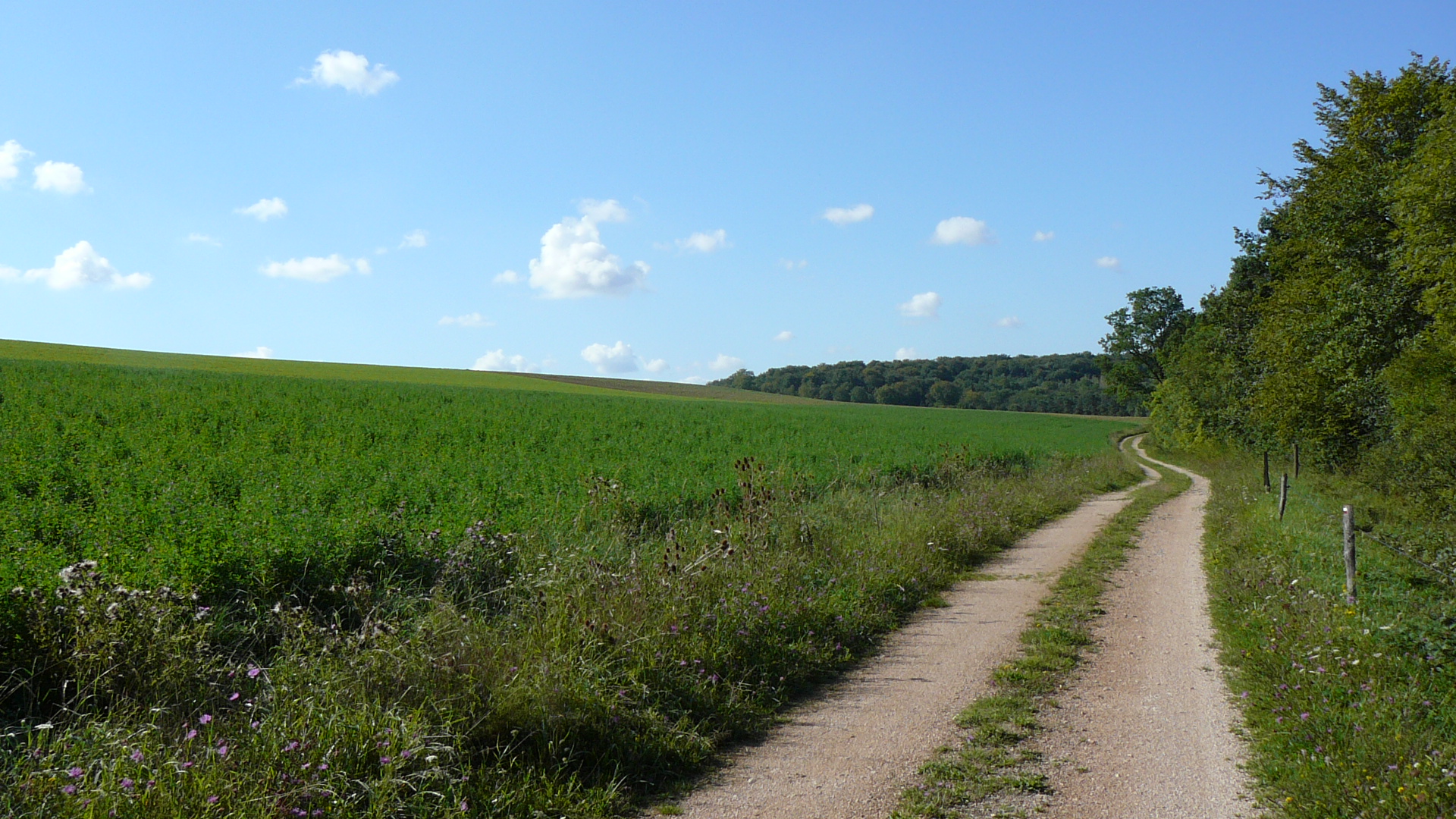 A la sortie de Gronet