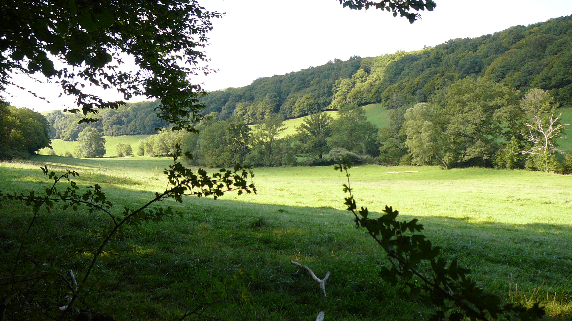 Le val de Seine