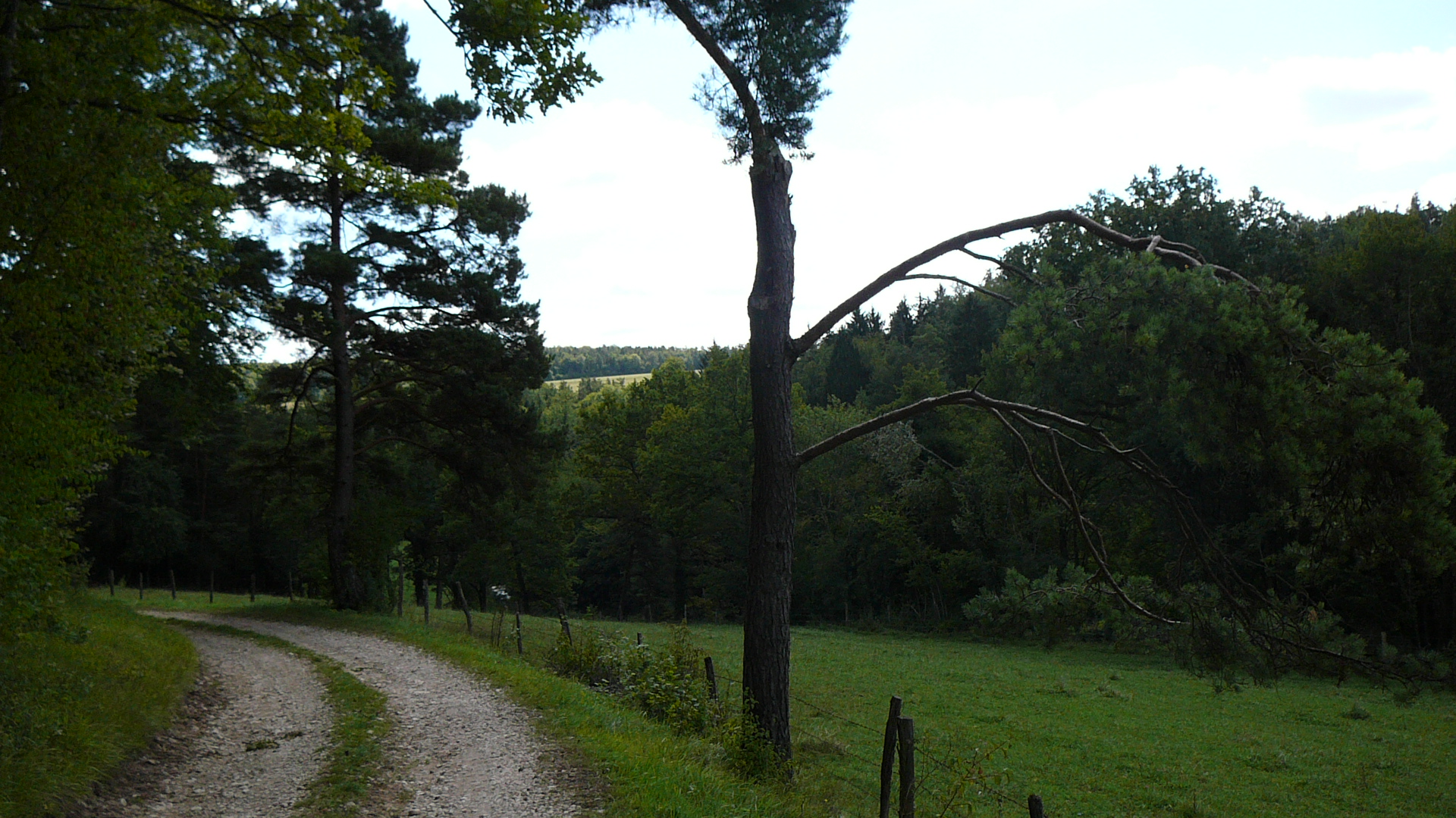 Dans le val du ruisseau de la Verrerie