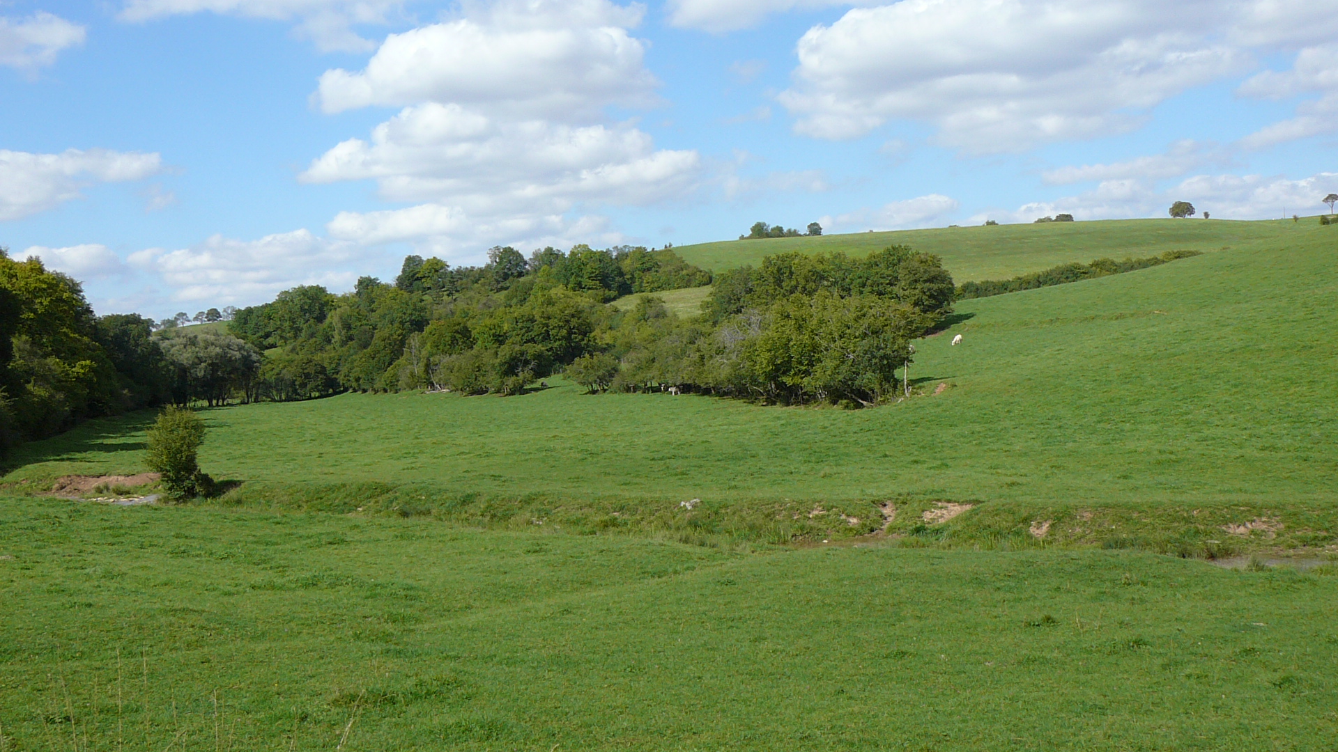 Le val de Seine près de Chanceaux