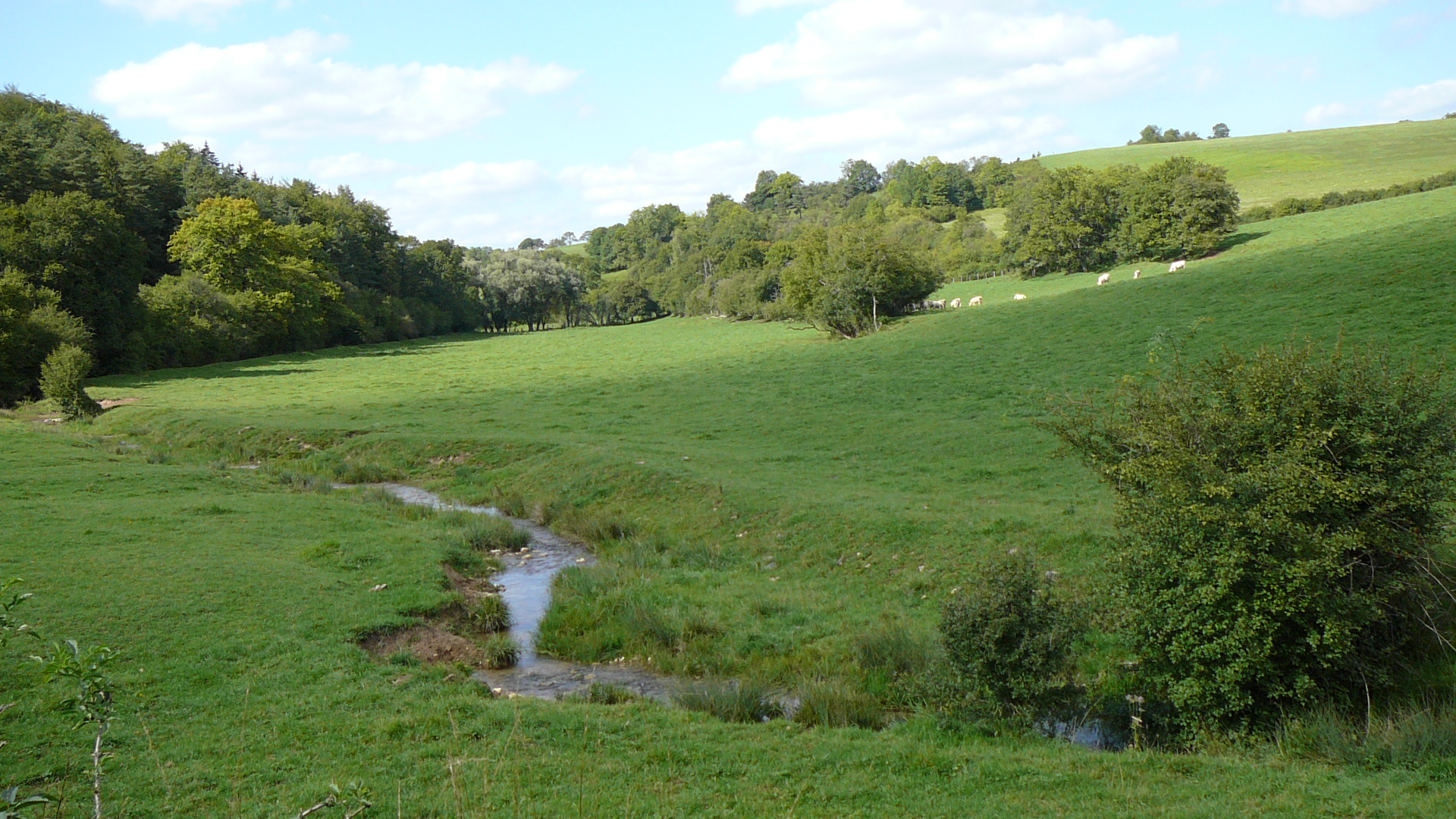 La Seine près de Chanceaux