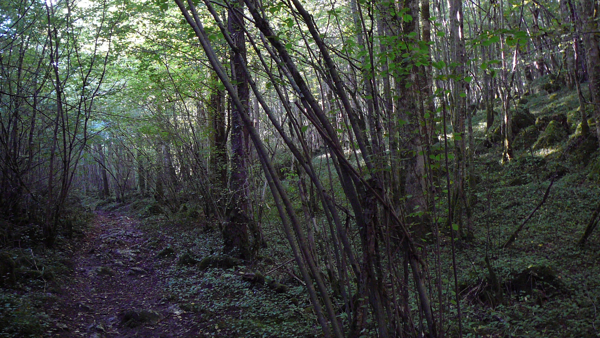 Chemin dans la combe des Arnauts