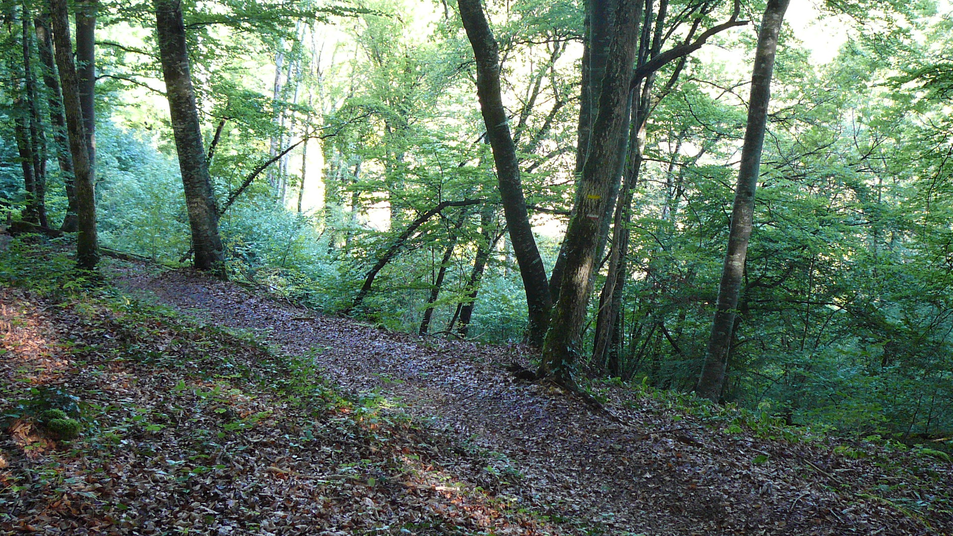 Descente aux sources de l'Ignon