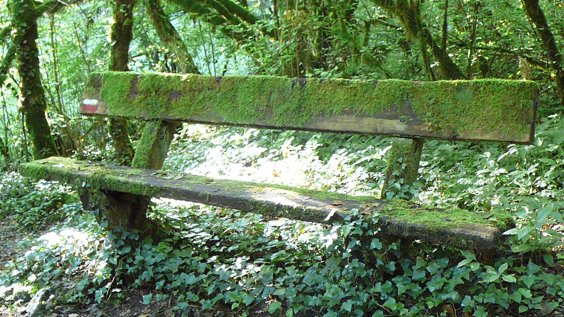 Un vieux banc près des sources de l'Ignon