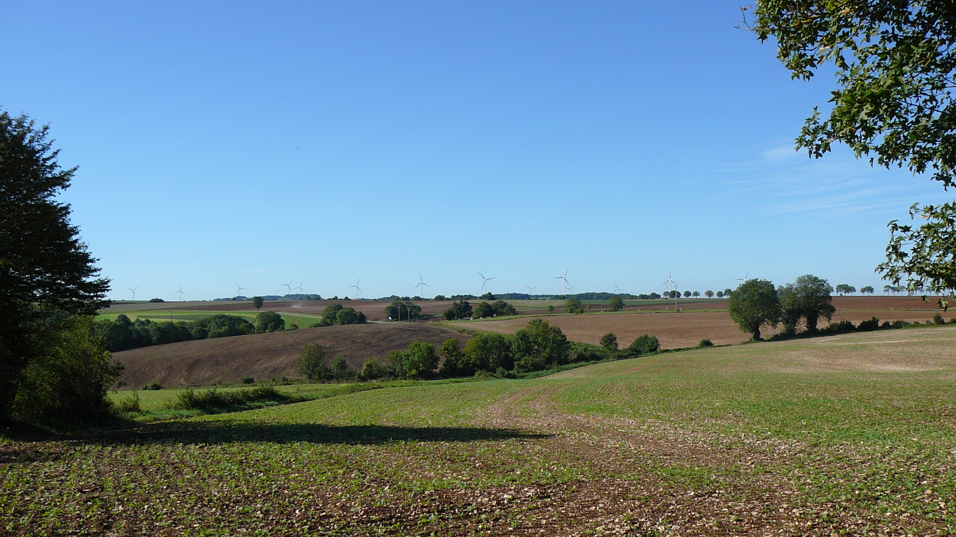 Lieudit la Croix de Chanceaux