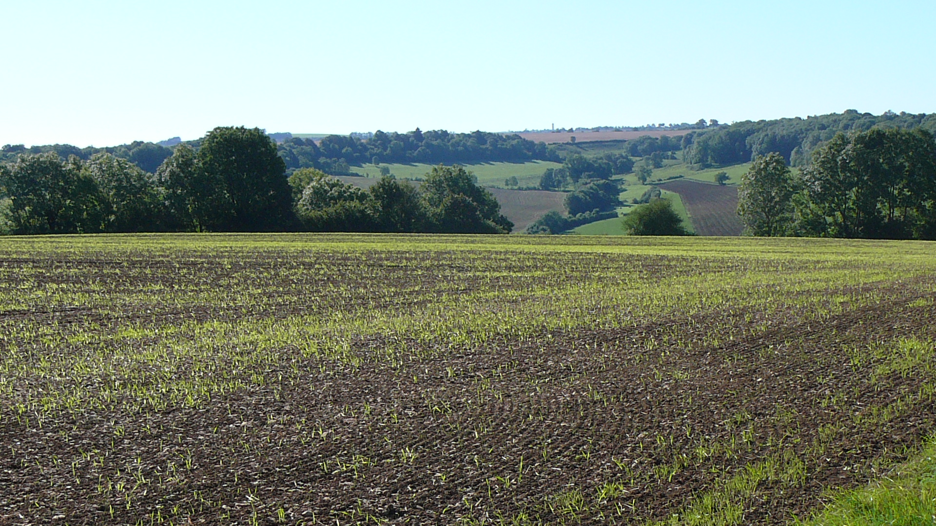 En direction de Bligny-le-Sec