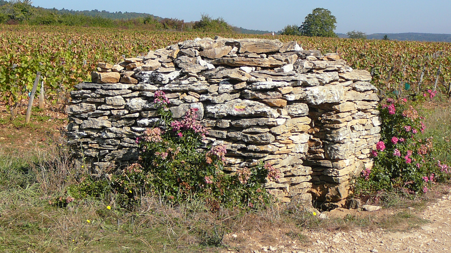 Une combotte près de Couchey