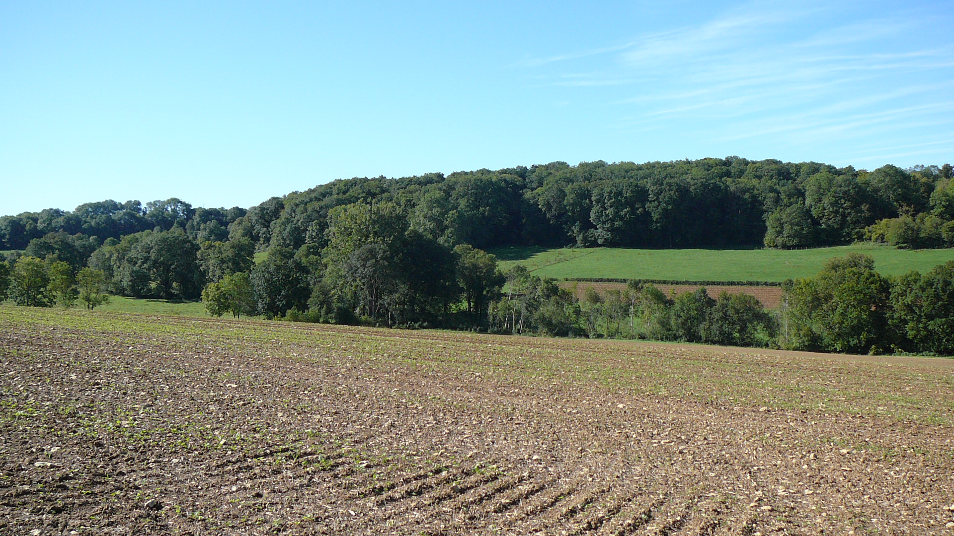 Lieudit la Côte d'Etain