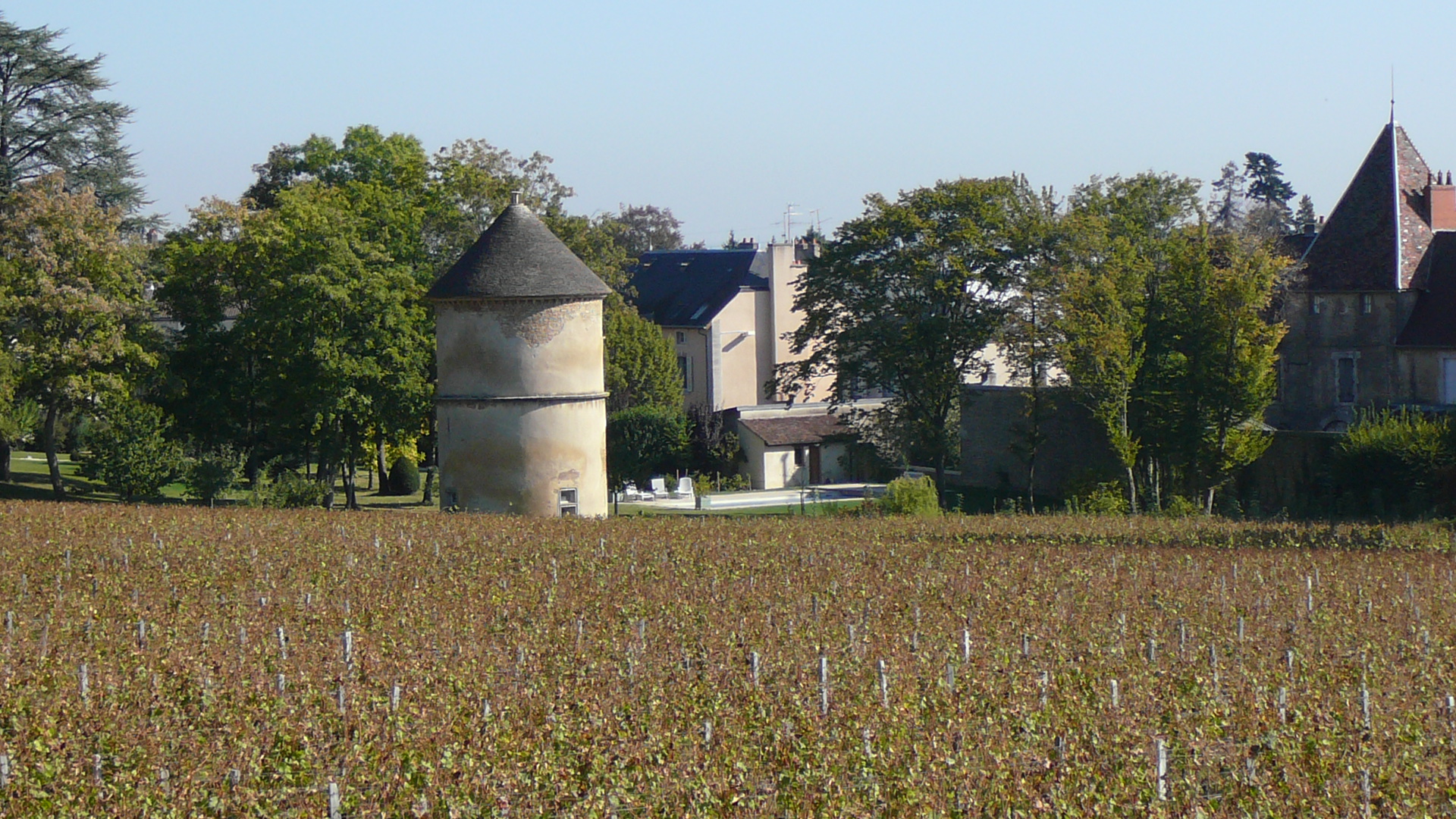 Vigne et pigeonnier à Couchey