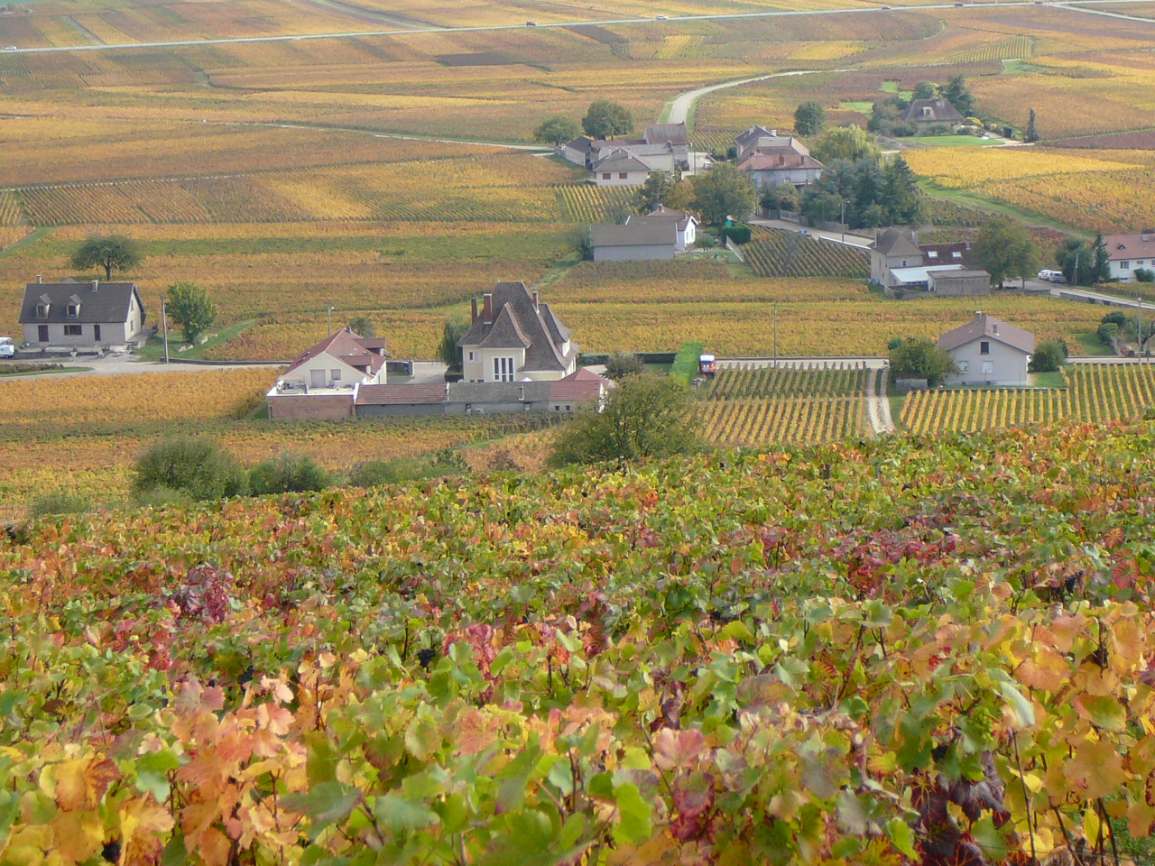 Près de Chambolle-Musigny