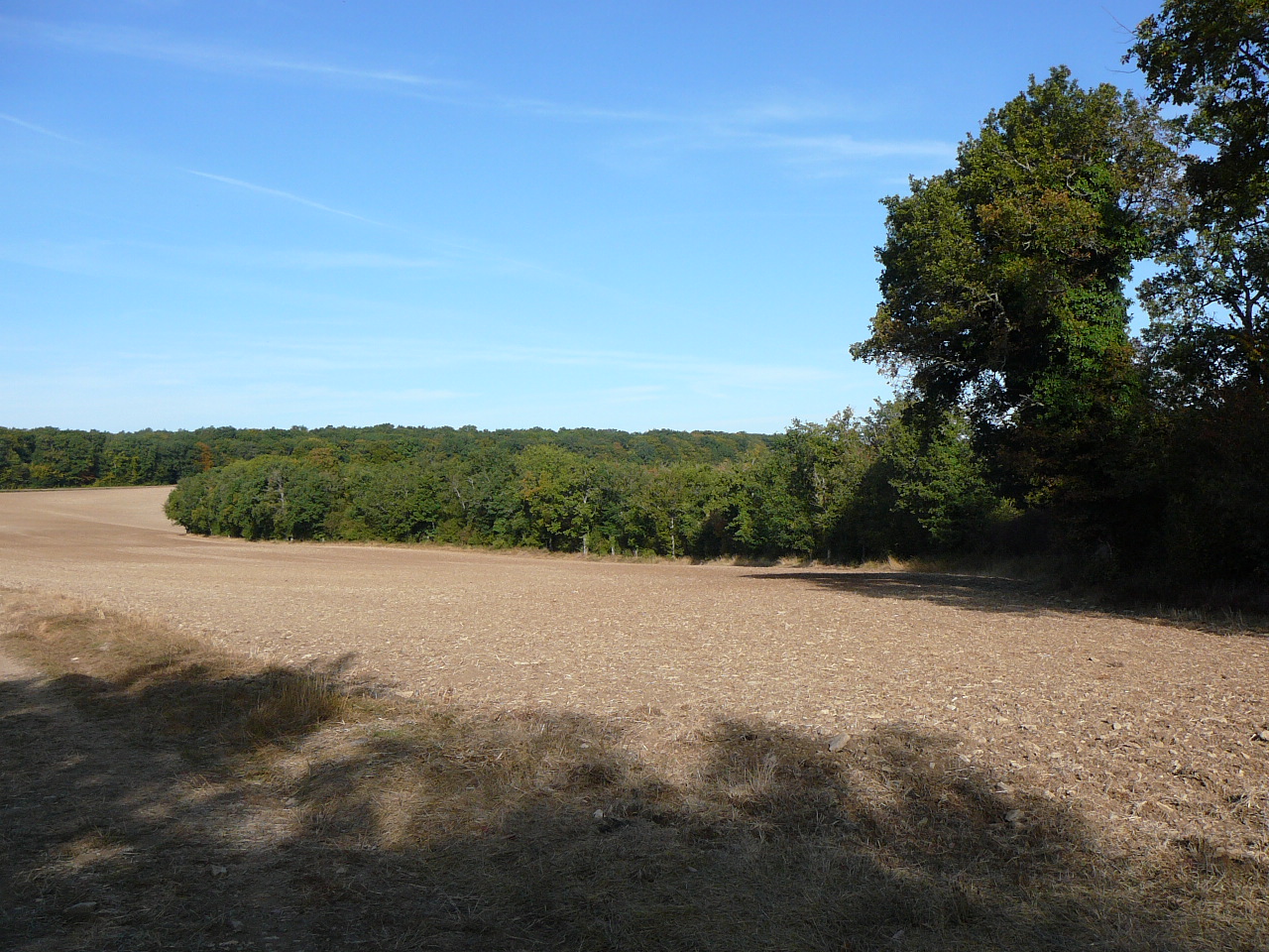A la sortie du Bois de Neuvon