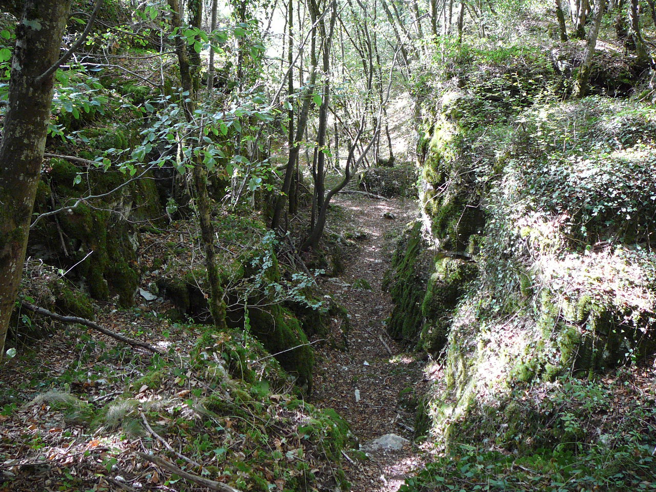 Haut de la combe de Torcy
