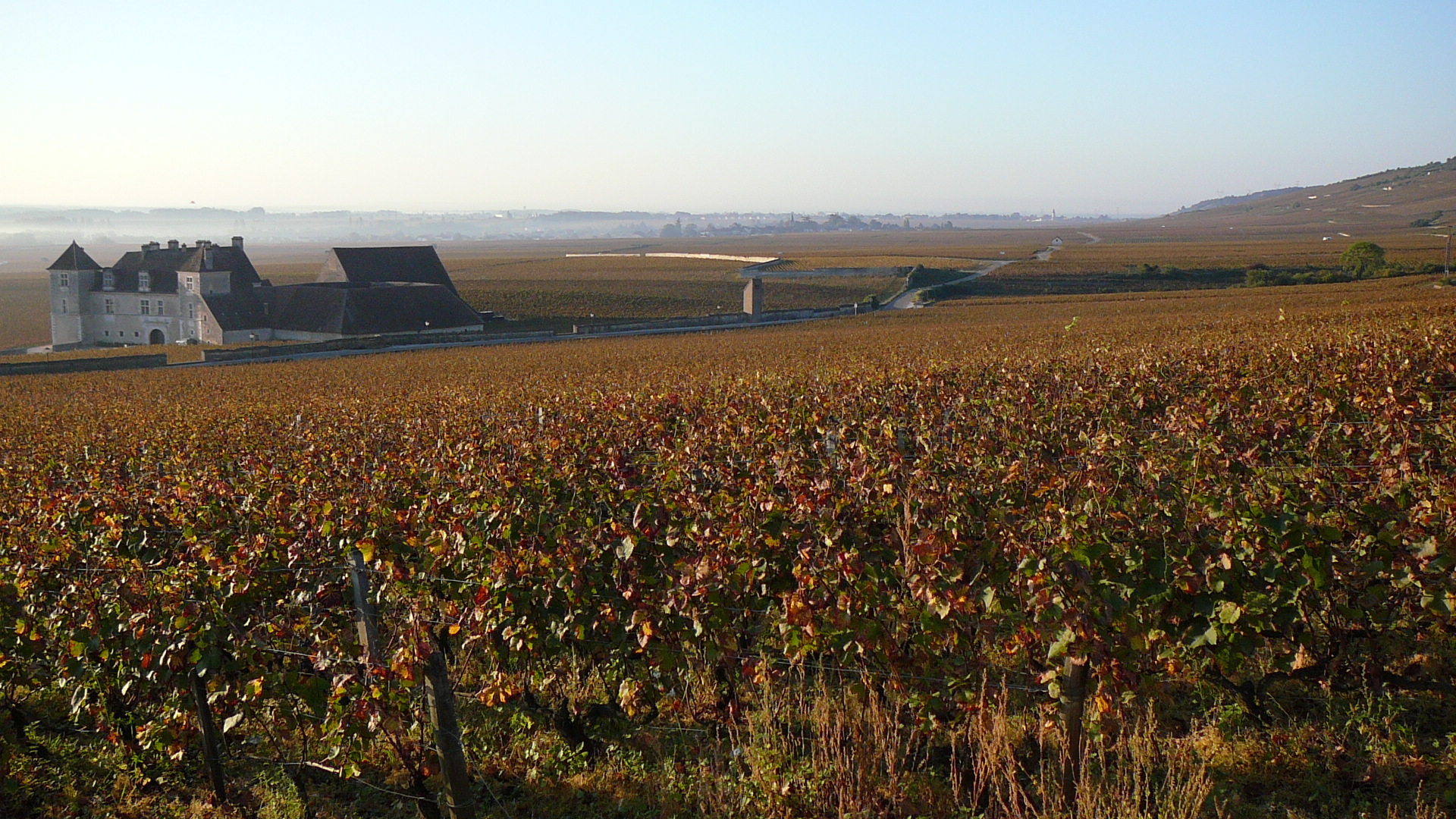 Lever de soleil sur le vignoble près du château du Clos de Vougeot