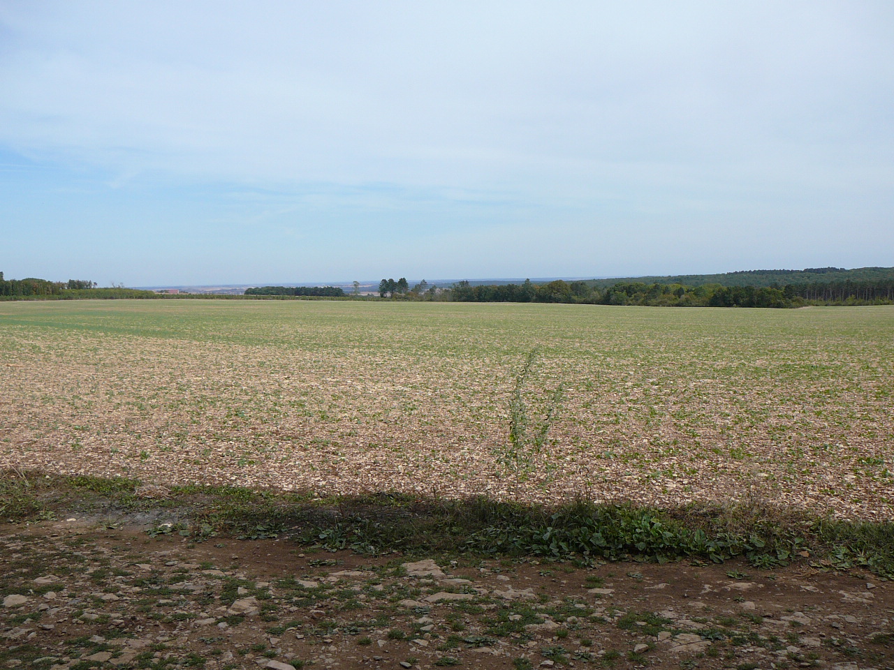 Le plateau de Langres