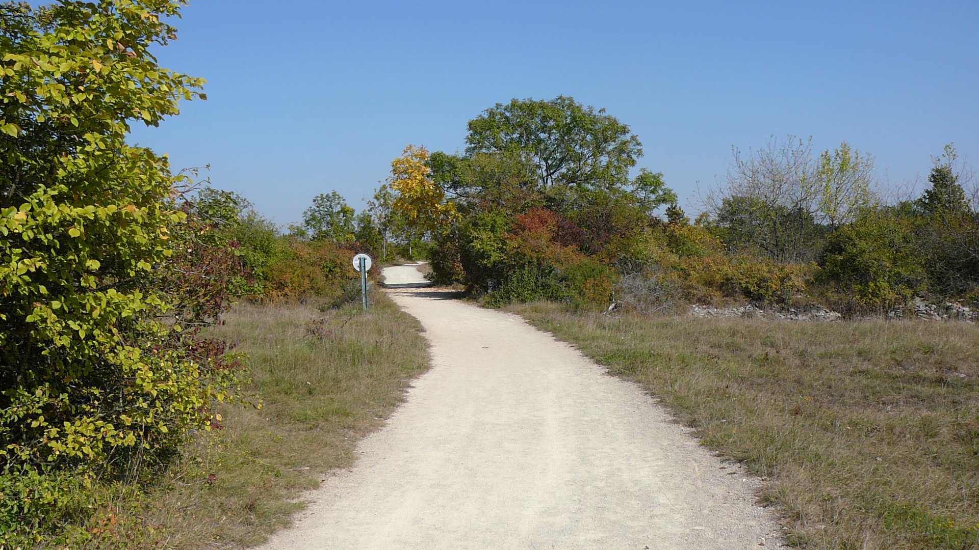 Le chemin sur le plateau de Chenôve