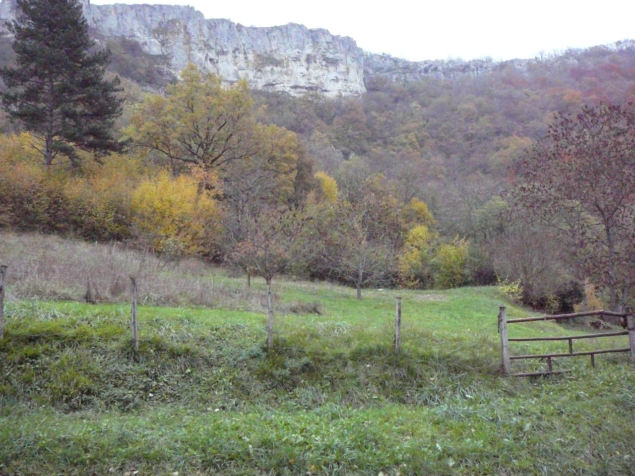 Les falaises de Beaulme-la-Roche