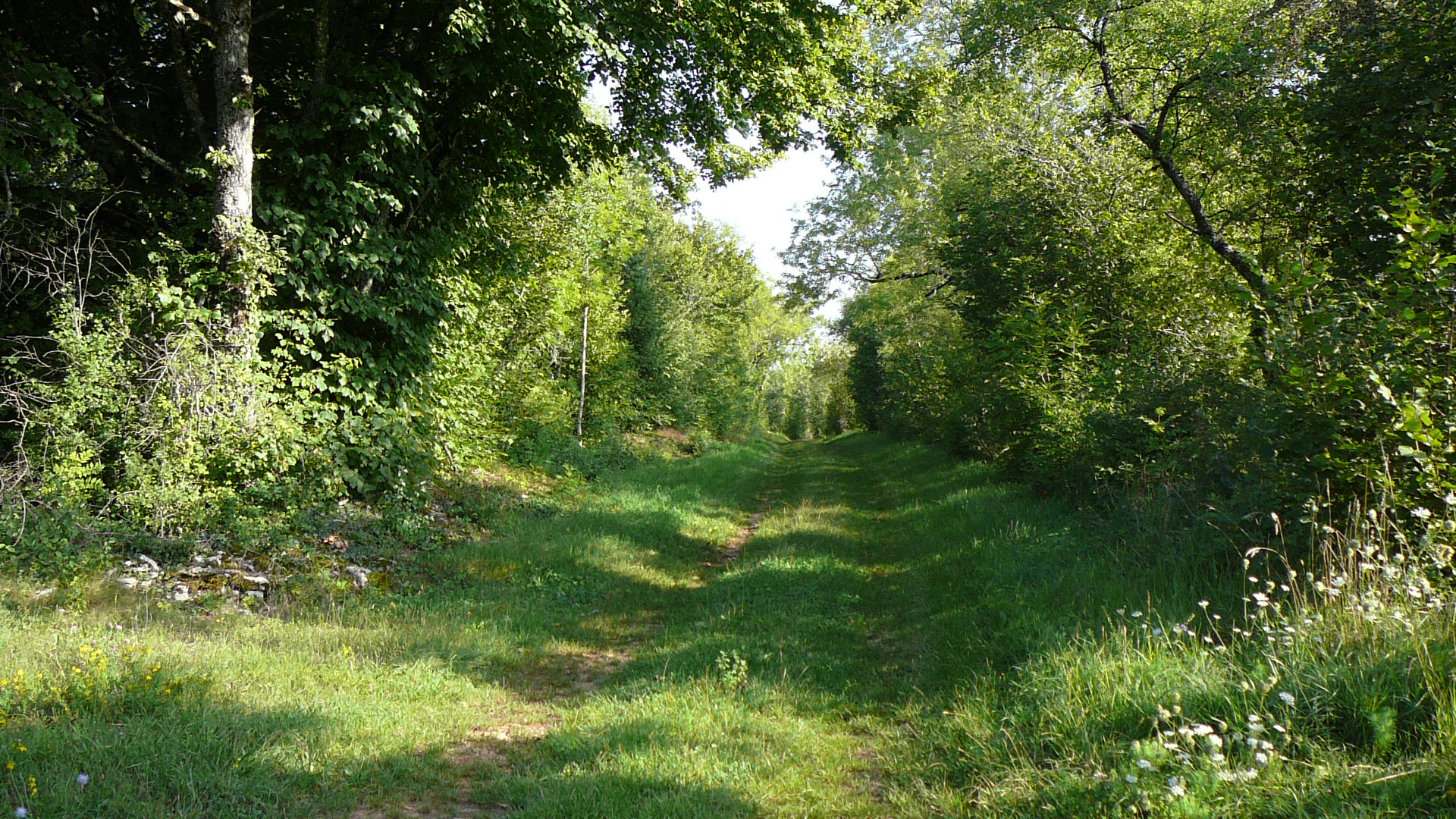 Agréable chemin sur la voie romaine entre Sombernon et Alésia