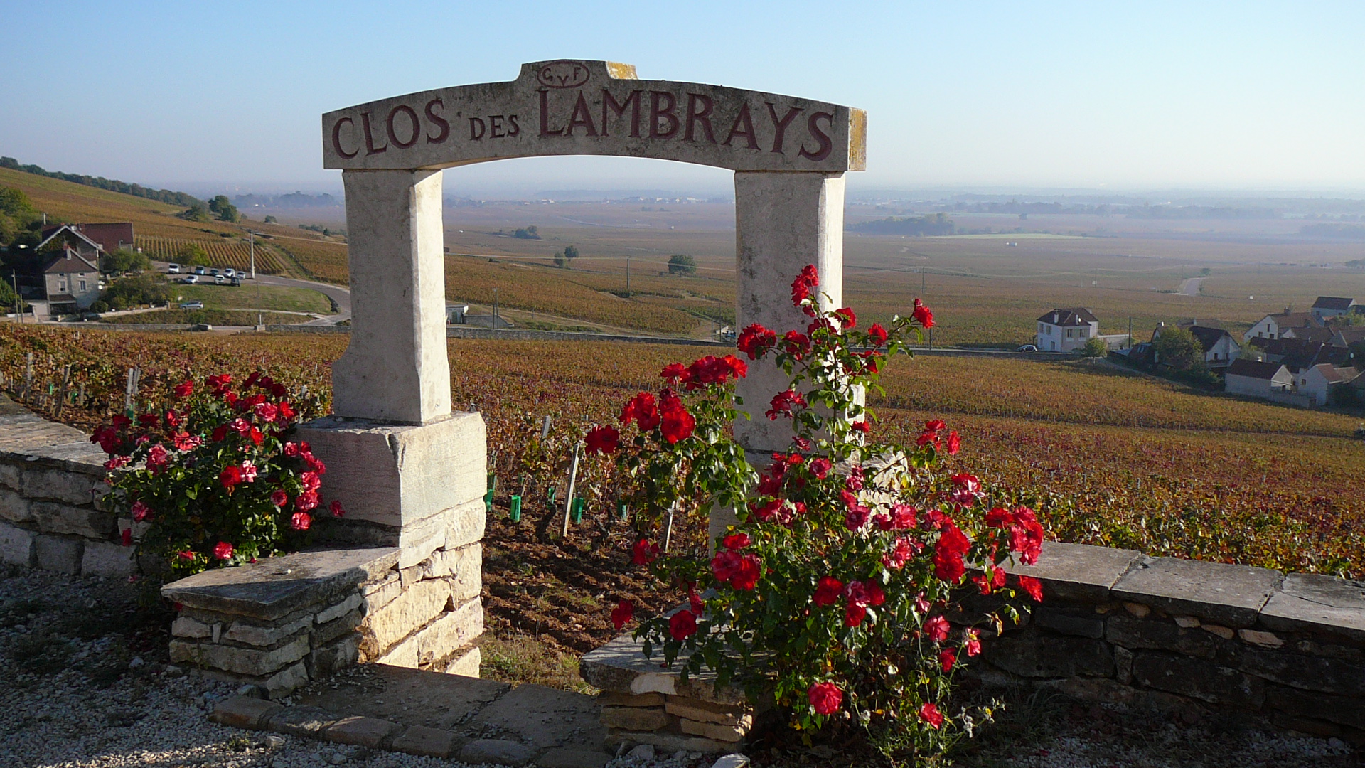 Rosiers à l'entrée d'un Clos