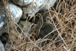 Une rencontre en chemin