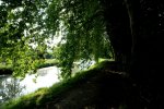 Canal latéral à la Dordogne
