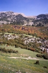 Près du Collado de Les Bassoles