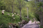 Ruisseau du Nabre