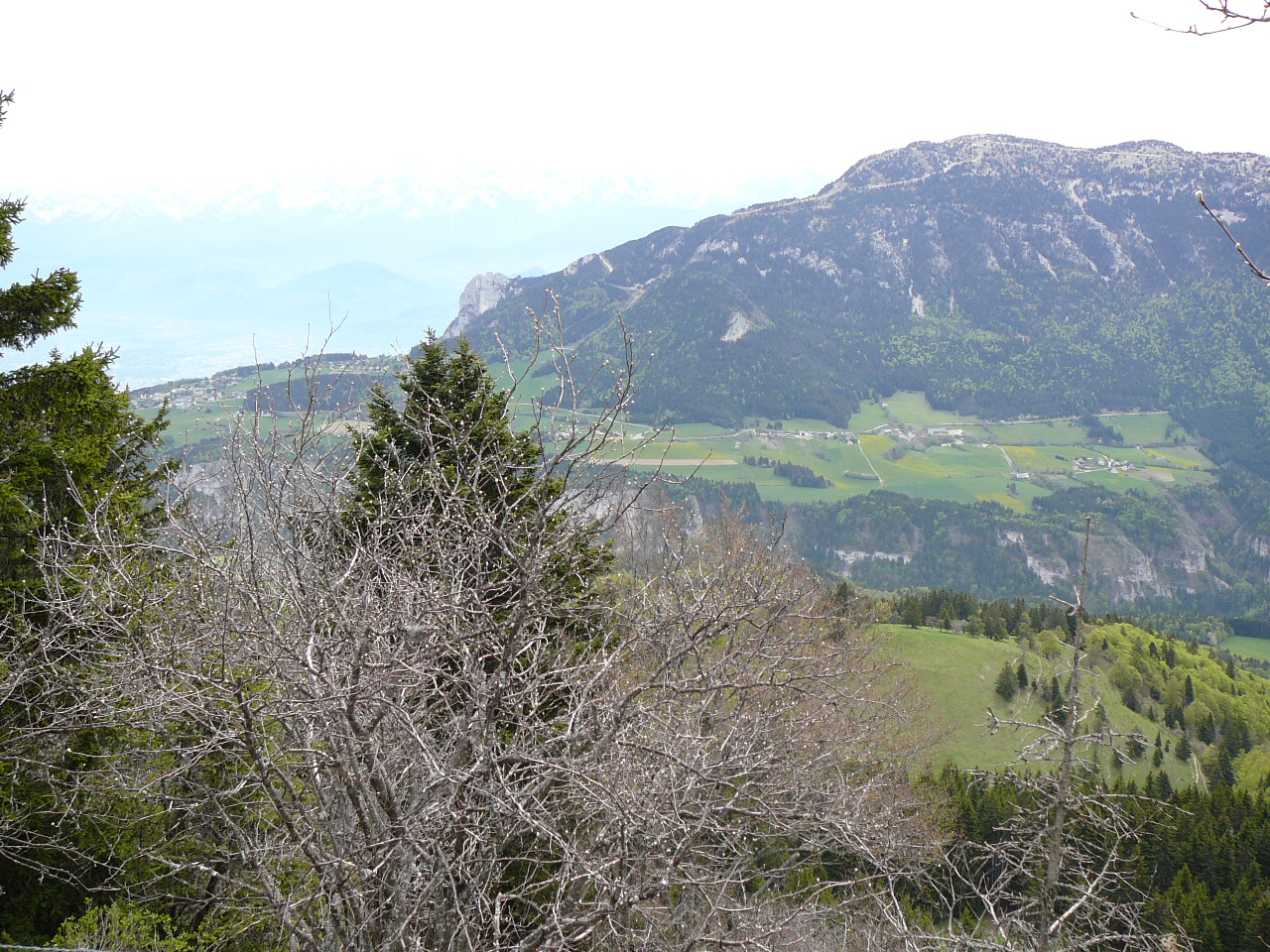 Les Trois Pucelles -  