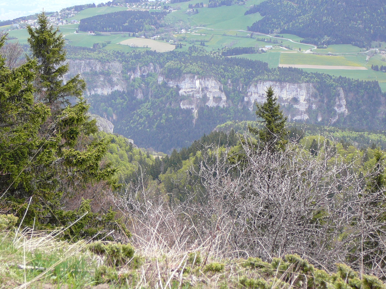 Lans-en-Vercors - l'Achard Autre vue des Gorges du Furon 