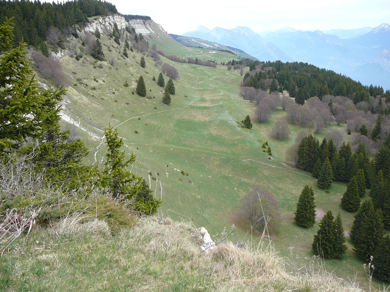 Le Plateau de Sornin -  