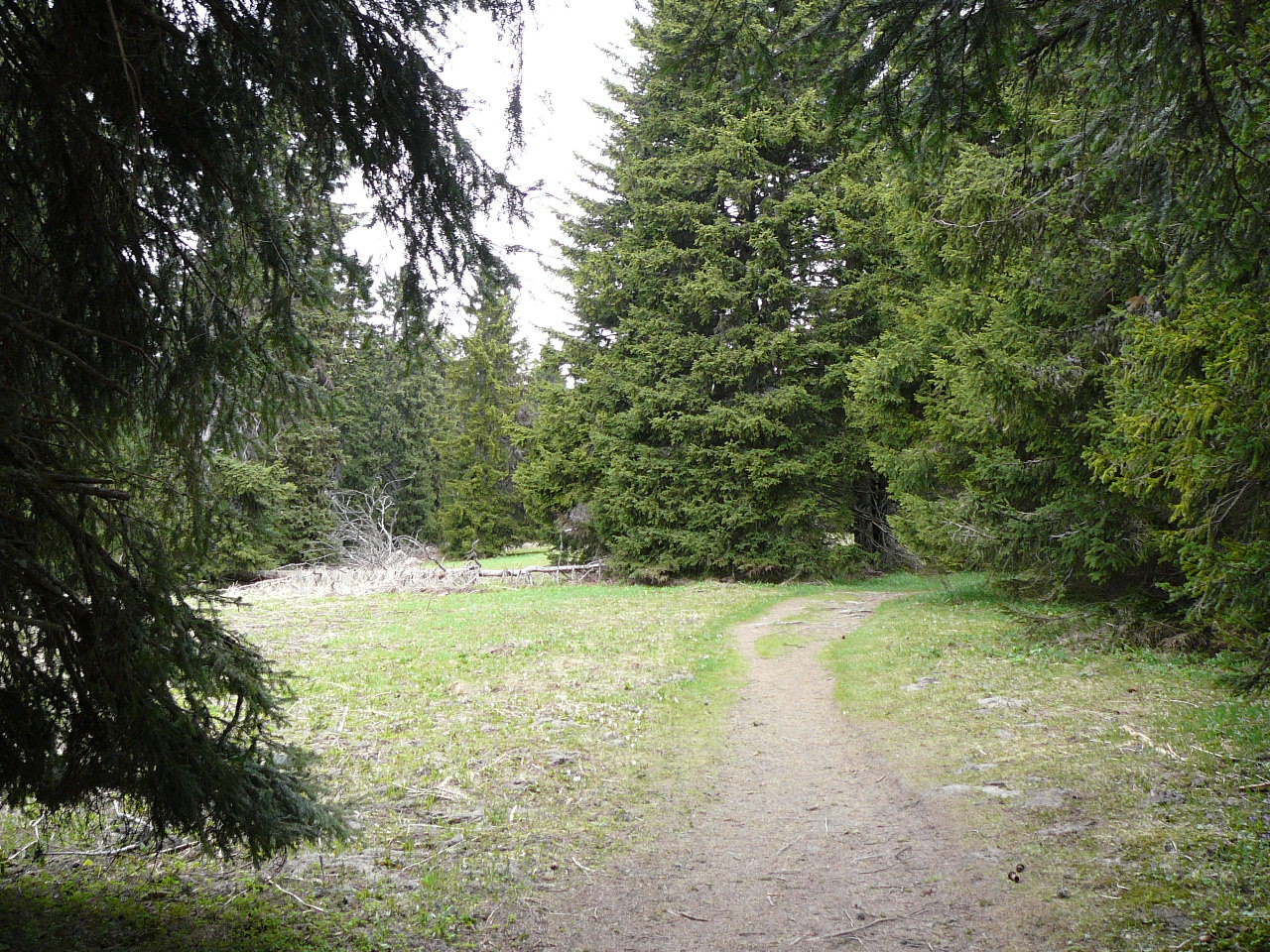 Lans-en-Vercors - l'Achard Vers le lieu-dit Charande 