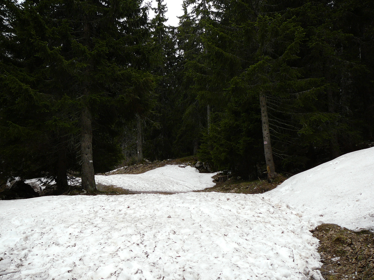 Lans-en-Vercors - l'Achard La Plénouze Plus de neige