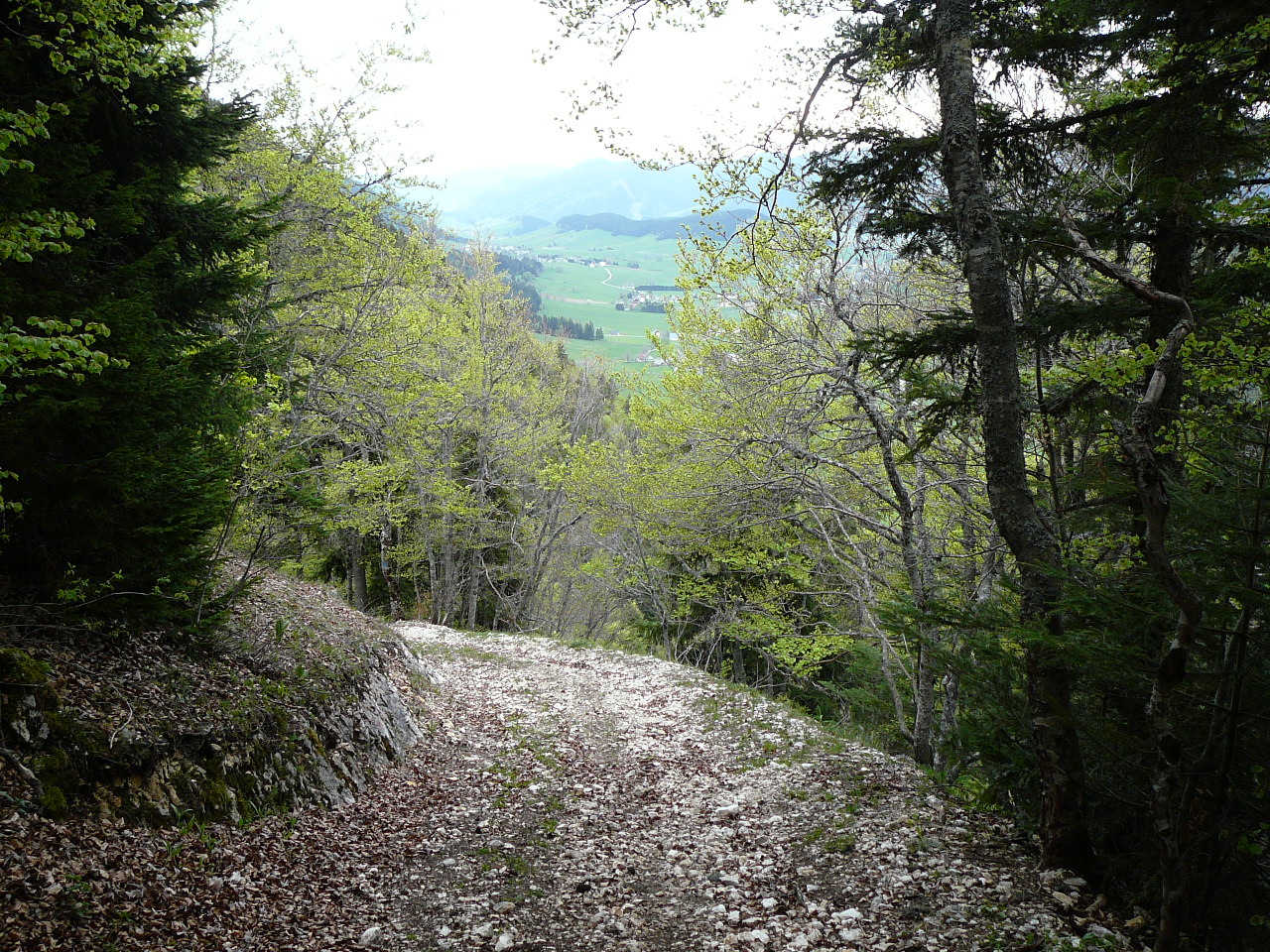 Le Val d'Autrans au loin - Le sentier Plénouze