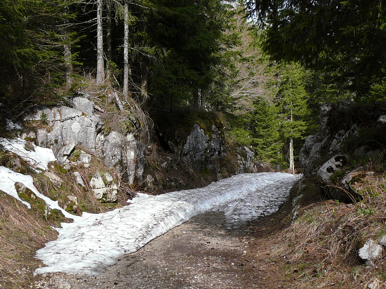 L'Achard - Autrans Sur une piste de ski de fond 