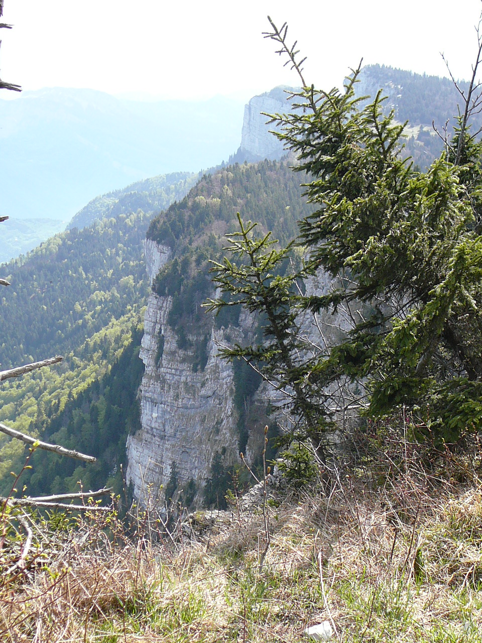 L'Achard - Autrans Les falaises depuis le Bec de l'Orient 